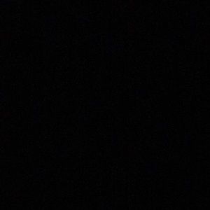 Meet your Posher, Asha